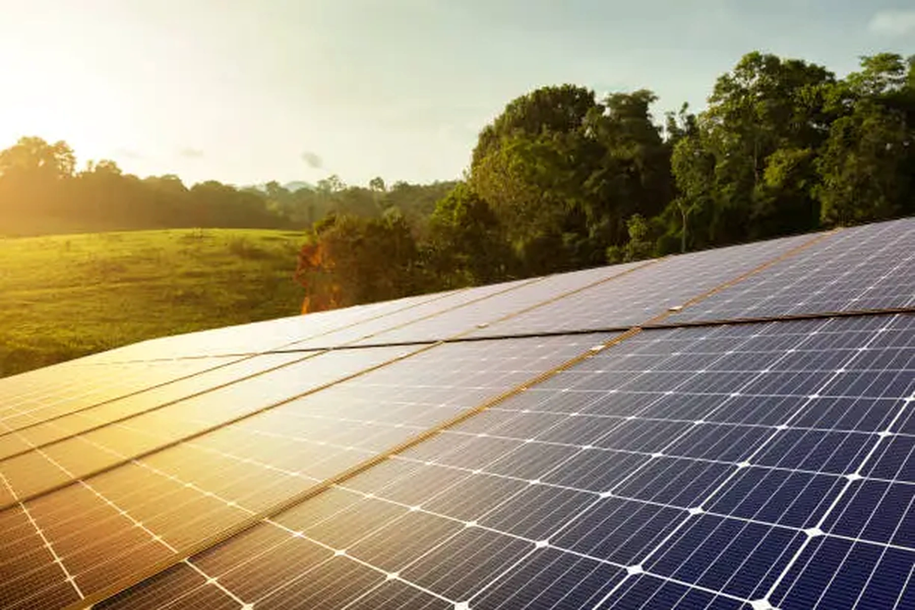 Solar panels at sunset